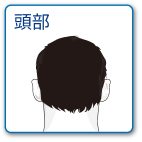 頭部のみ