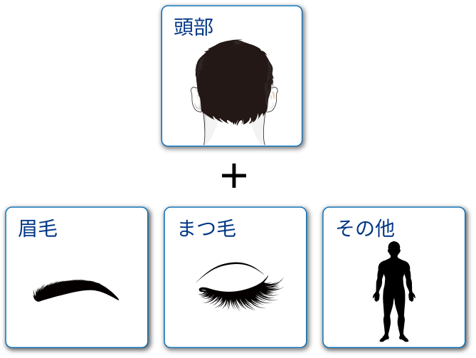 頭部以外にも抜け毛がある sp